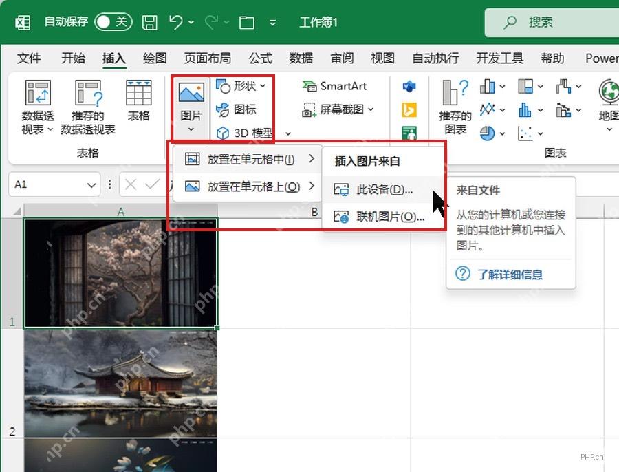 Excel 插入选项卡中图片菜单展开,放置在单元格中和此设备入口被标出