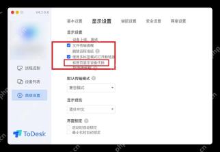 ToDesk 显示设置页面高亮禁用硬编解选项用于处理连接画面异常