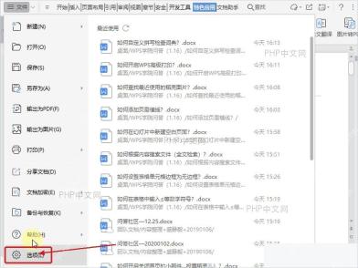 WPS 文字左侧菜单底部的选项按钮