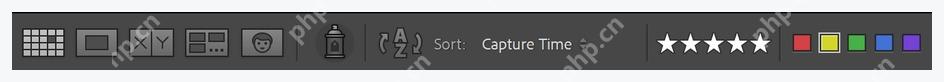 Lightroom Classic Library Filter 的颜色标签筛选条