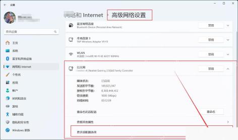 在高级网络设置中查看以太网链接速度