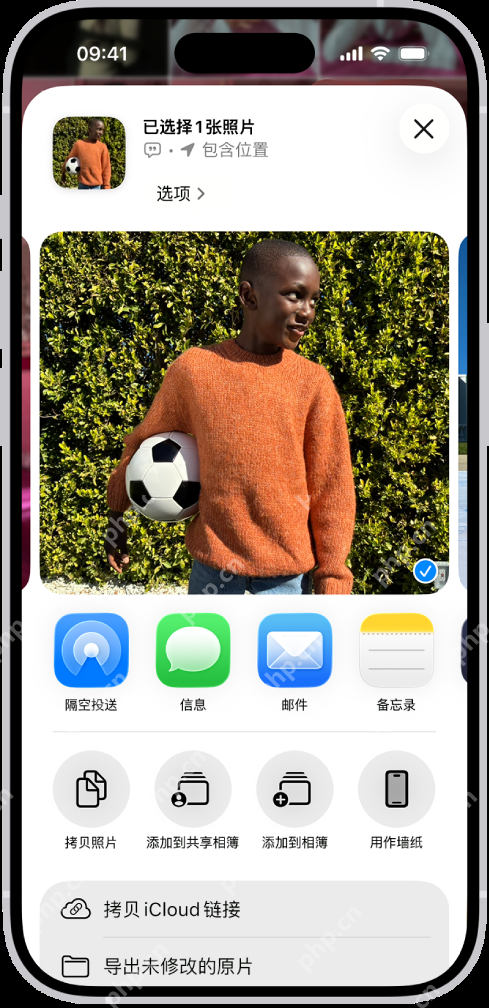 iPhone照片分享面板显示包含位置