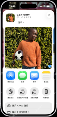 iPhone照片分享面板显示包含位置