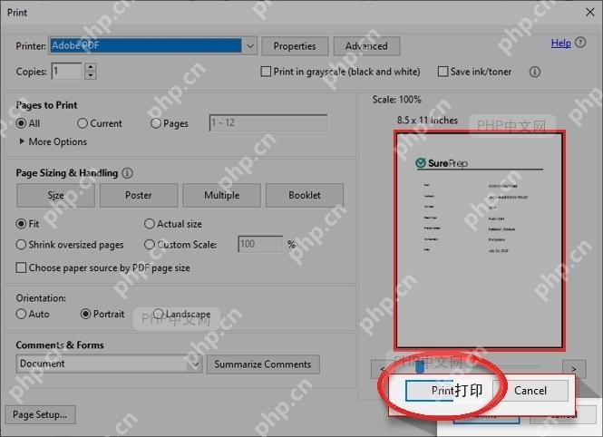 Adobe Acrobat 打印窗口中核对预览并点击打印按钮的步骤界面