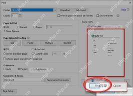 Adobe Acrobat 打印窗口中核对预览并点击打印按钮的步骤界面