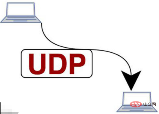 UDP 포트 번호는 무엇입니까?