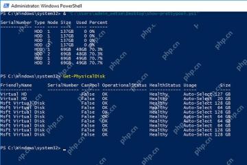Windows PowerShell 加盘后显示新硬盘已成为存储池成员并参与容量