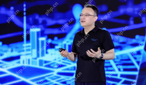 四维图新CEO程鹏:不做第一个吃螃-蟹的人,2028年AI营收将占七成 - php中文网