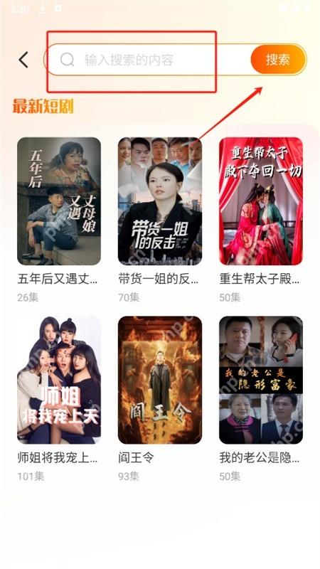 红果免费短剧搜索框和搜索按钮