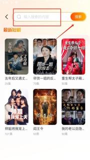 红果免费短剧搜索框和搜索按钮