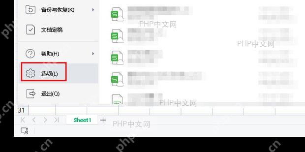 WPS如何更改滚动条的颜色? 点击文件里的选项