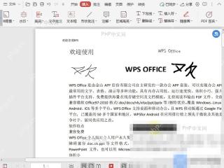WPS PDF图片签名黑白效果