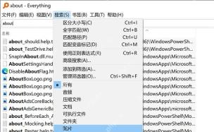 Everything怎么保存常用搜索条件