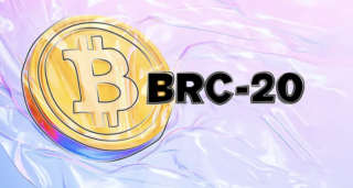 brc-20协议是什么?它如何引爆比特币生态?铭文新手入门指南 - php中文网