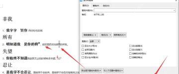 WPS文字查找下一处确认格式匹配结果
