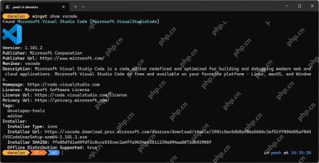 Win11 PowerShell 运行 winget show vscode 显示 ARM64 安装器 URL 和 SHA256