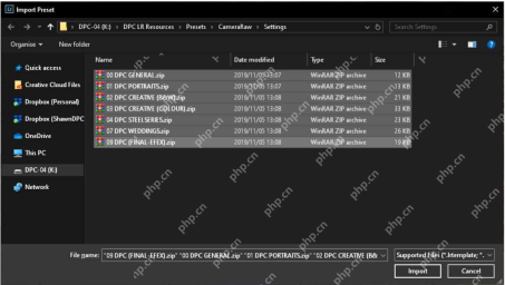 Lightroom Classic Windows 版英文 Import Preset 文件窗口，选中 ZIP 预设包并显示右下角 Import 按钮