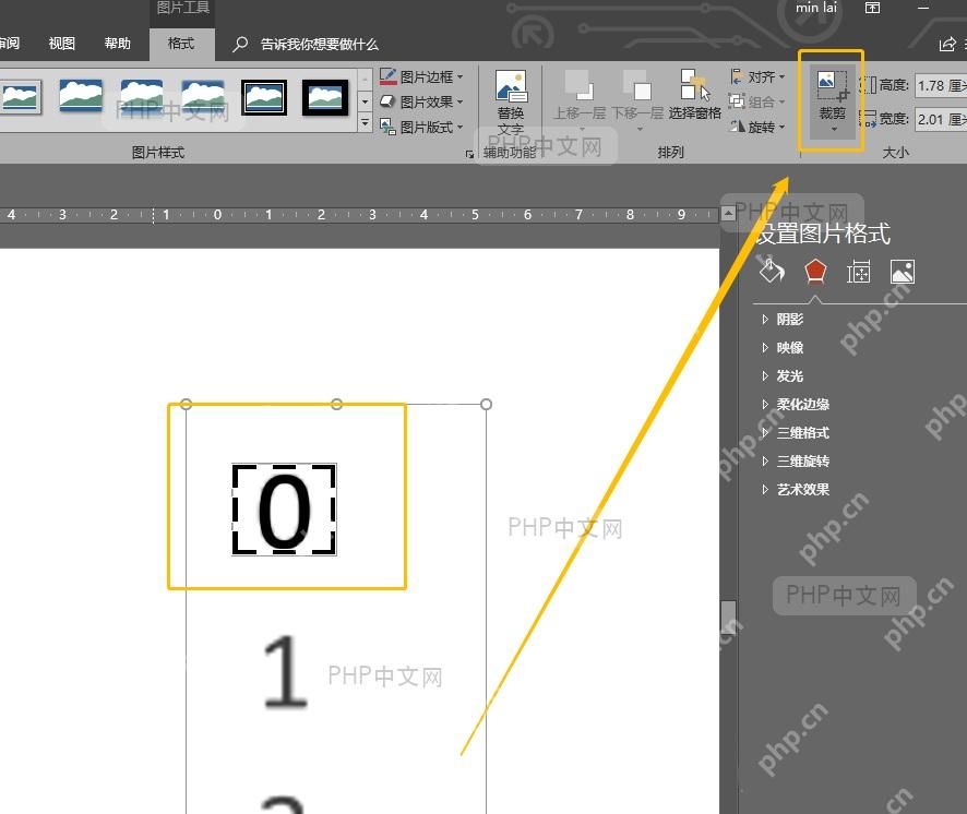 PowerPoint动画选项卡效果库界面