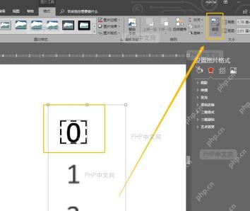 PowerPoint动画选项卡效果库界面