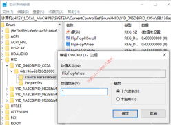 Windows 注册表 Device Parameters 中修改 FlipFlopWheel 数值