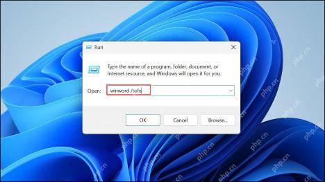 Windows 运行窗口输入 winword /safe 启动 Word 安全模式