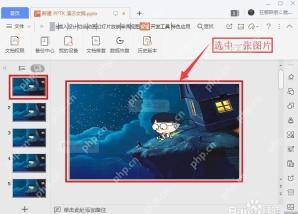 WPS 演示中选中幻灯片图片并出现图片控制点