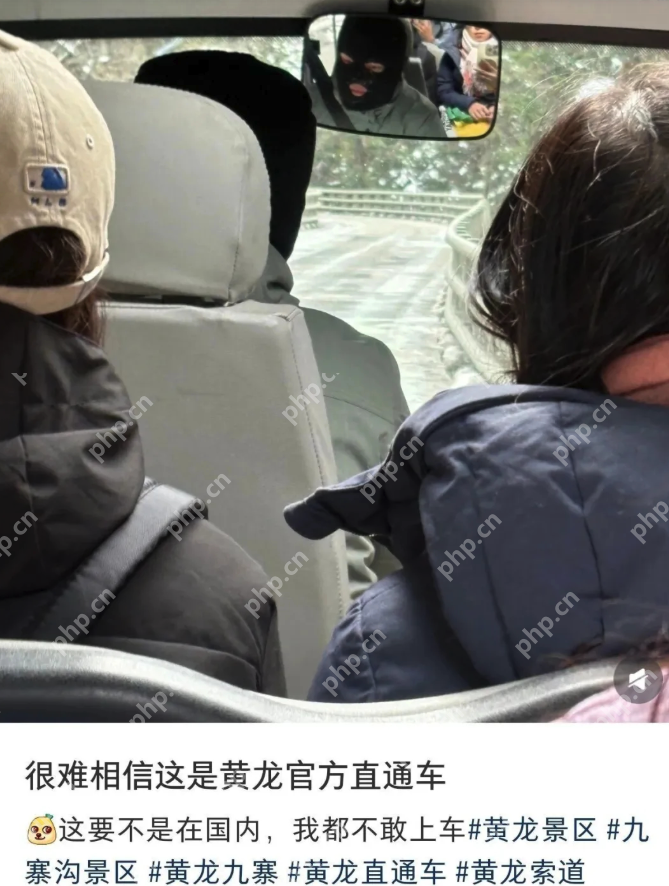 景区司机戴黑头罩被指像“劫匪”，网友：这要不是在国内，我都不敢上车 - php中文网