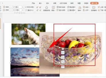 PPT 页面中选中 PNG 图片并调整大小和摆放位置