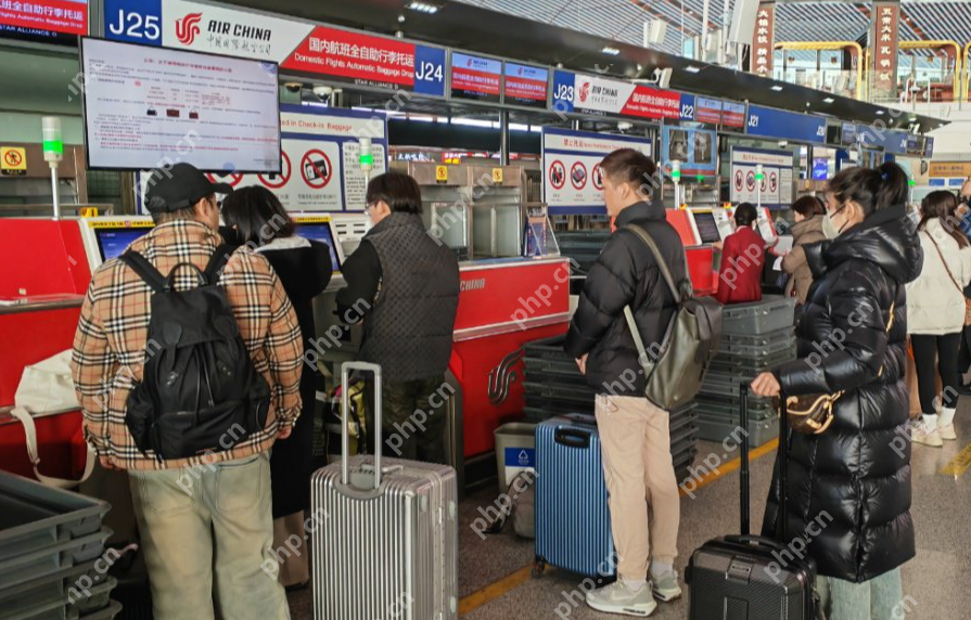 国庆出游，特产怎么带上飞机？这些规定你必须知道 - php中文网