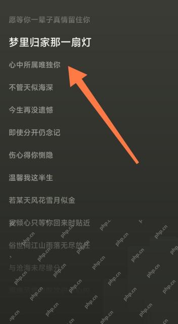 汽水音乐完整歌词页面