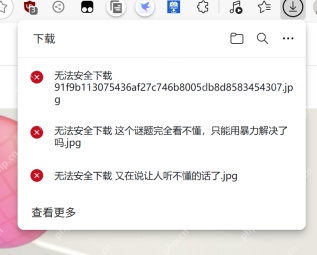 Win10怎么解决浏览器下载文件被阻止