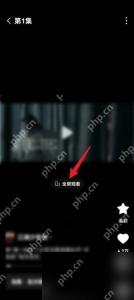 红果免费短剧播放页全屏观看入口
