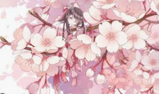 精品资源网站在线观看 日韩精品资源免费观看樱花次元网站入口 - php中文网