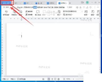 WPS 文字窗口左上角 WPS 图标入口