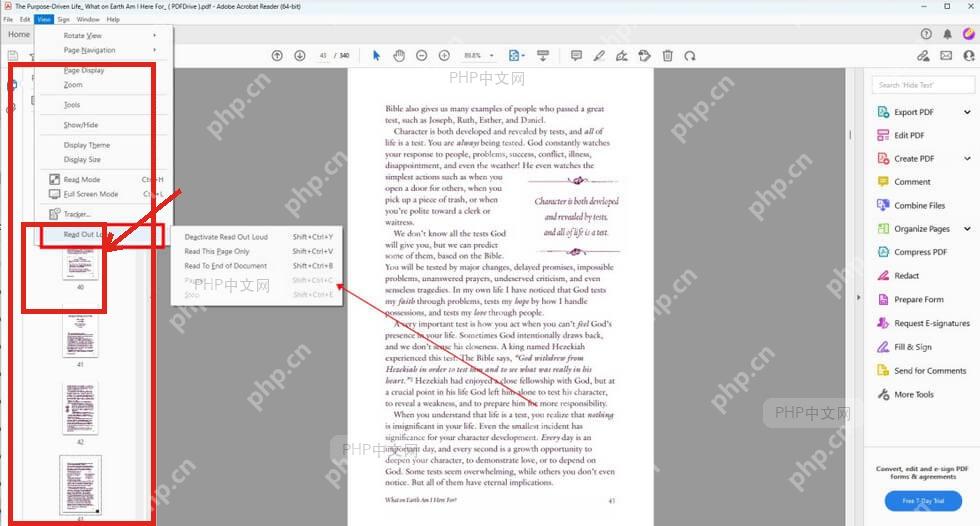 Acrobat Reader 左侧缩略图和当前页用于确认 PDF 已打开并定位到起始页