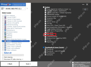 PrivaZer System 下的 Cache DNS 清理项