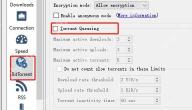 qBittorrent BitTorrent 页面中 Torrent Queueing 启用后才能限制活动上传