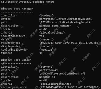 bcdedit 输出中 default 指向当前默认启动项