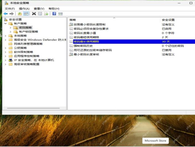 win11账户策略在哪_win11账户策略入口与适用版本说明 - php中文网