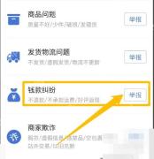 拼多多举报原因页面里的钱款纠纷选项