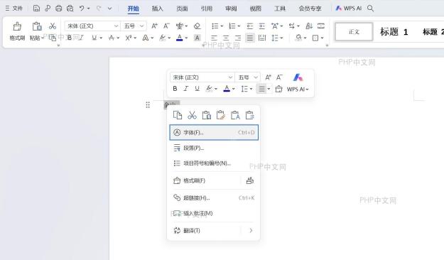 选中文本后右键点击选择‘字体’选项，并勾选‘隐藏文字’复选框