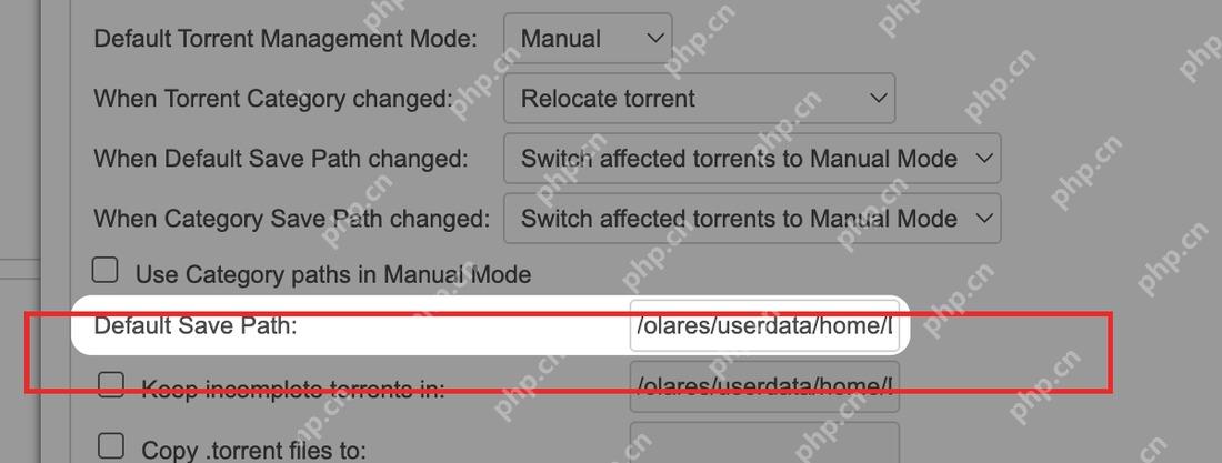 qBittorrent Downloads 页面 Default Save Path 输入框，用于设置默认下载目录