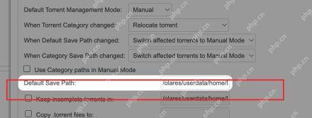 qBittorrent Downloads 页面 Default Save Path 输入框，用于设置默认下载目录
