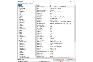 Win10 系统信息左侧包含硬件资源组件和软件环境分类