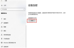 Win11 设置里关闭设备加密开关
