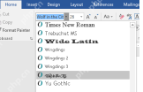 Word 字体下拉列表中显示已安装字体