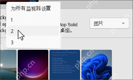 Win10 在最近使用的图像上为不同显示器指定壁纸