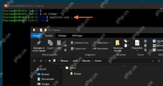 WSL 终端运行 explorer.exe 打开 Windows 资源管理器
