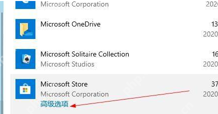 Windows 10 Microsoft Store 条目下方的高级选项入口