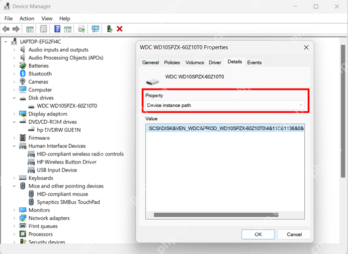 Windows 设备管理器磁盘属性 Details 中显示 Device instance path